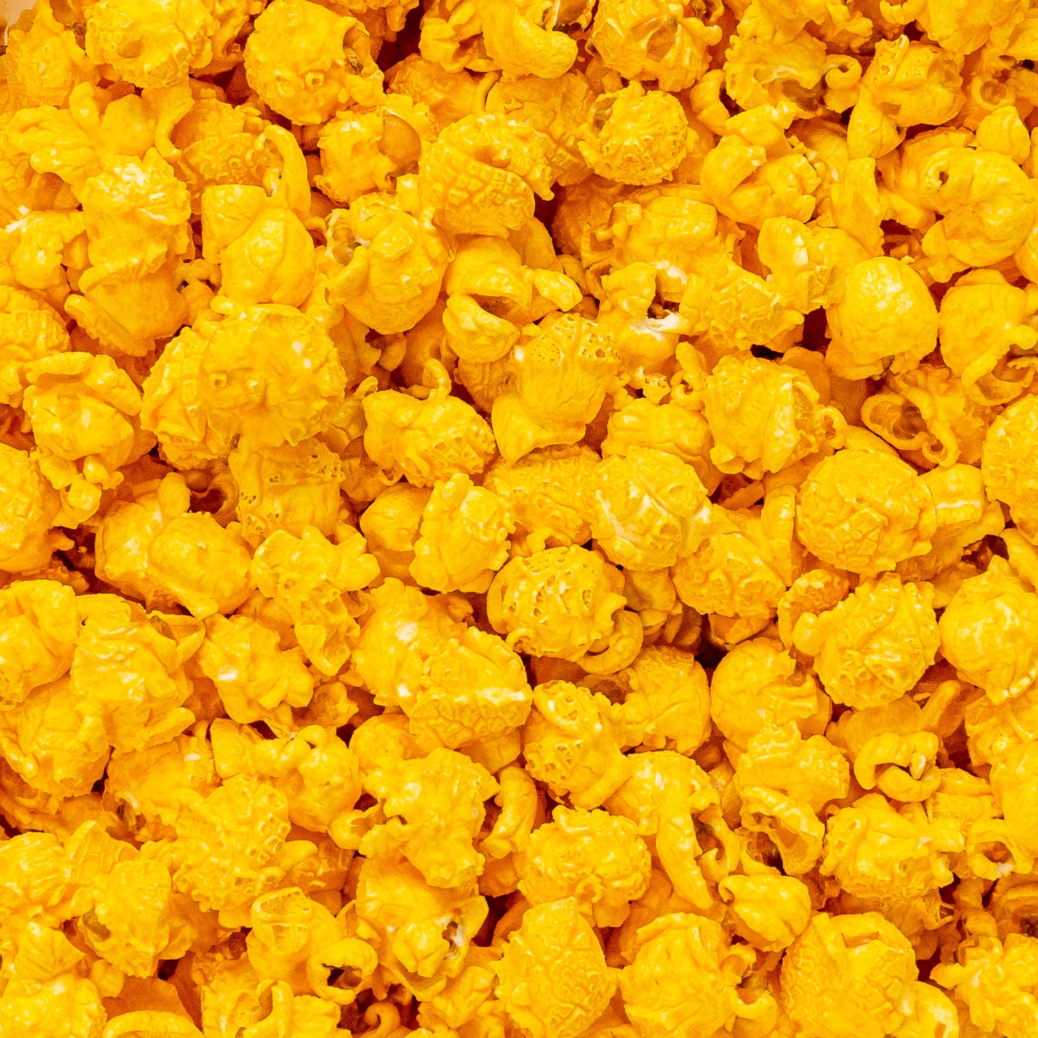 Cheddar Cheese